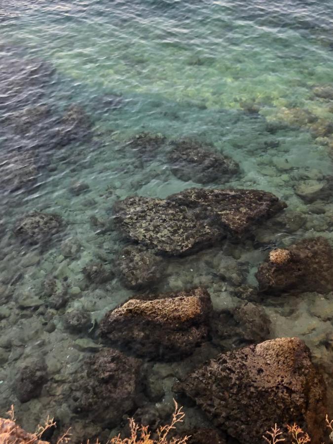 Casa Vacanze Antiche Mura E Poi Monopoli Luaran gambar